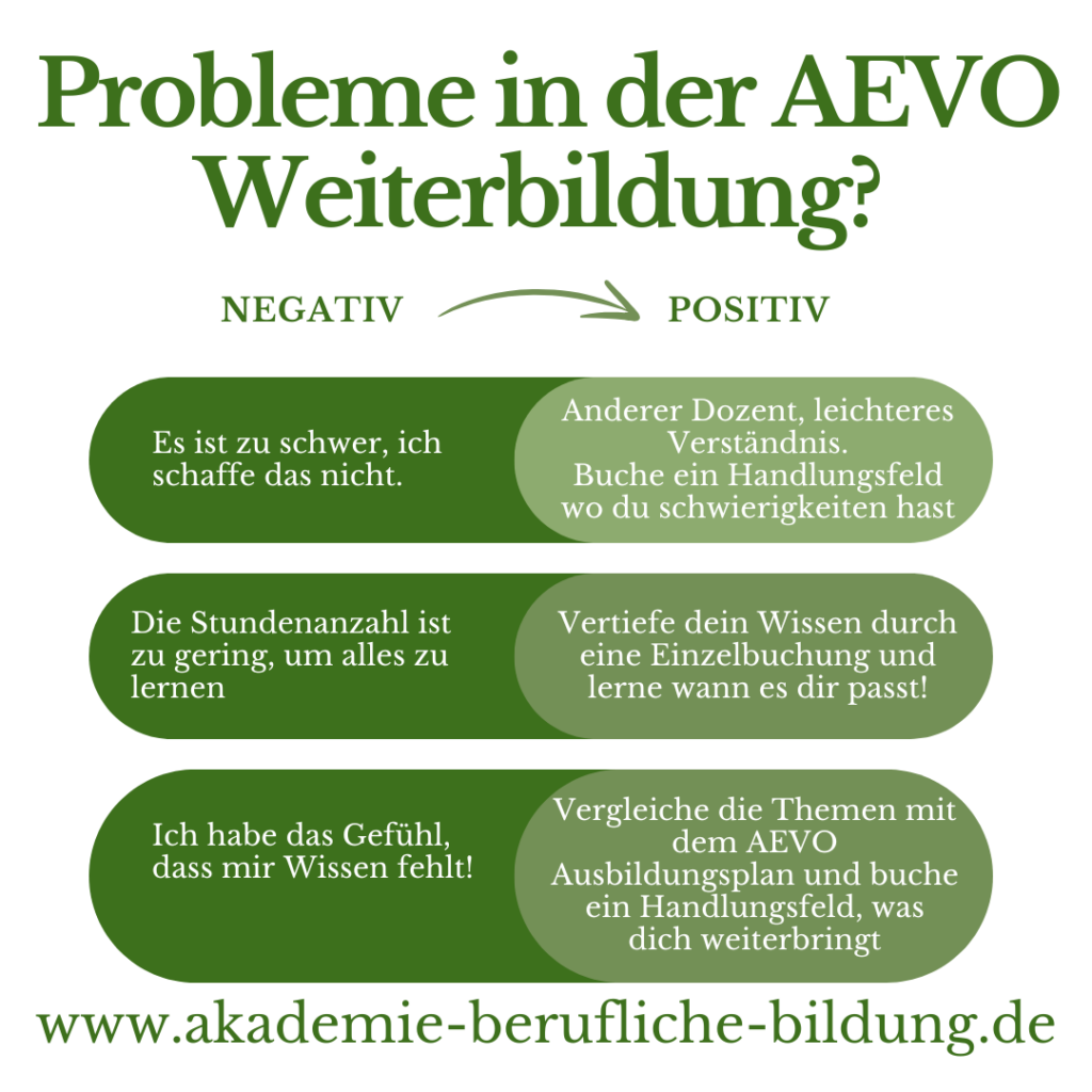 AEVO Wissen Probleme