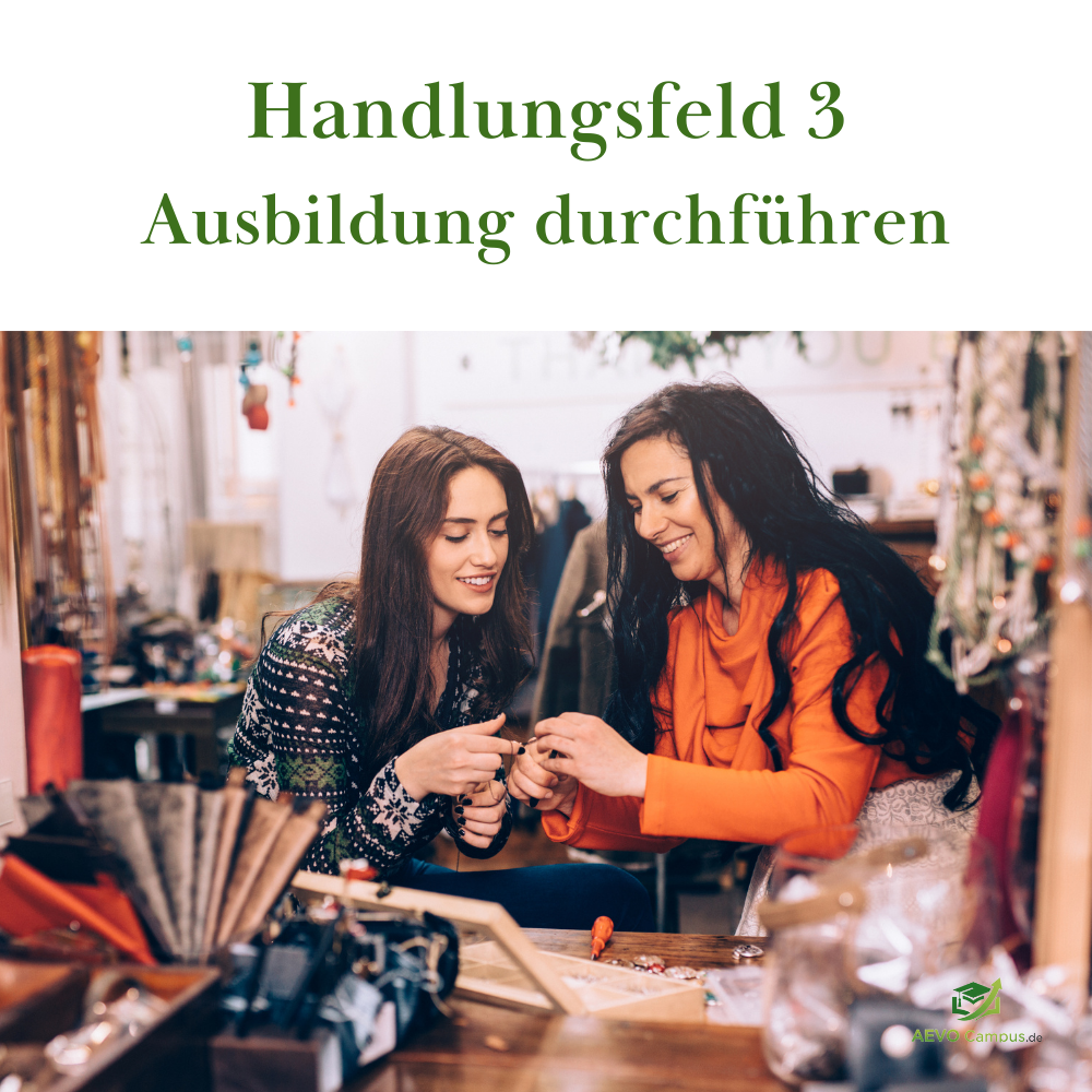 AEVO Handlungsfeld 3 Ausbildung durchführen (Einzelbuchung)